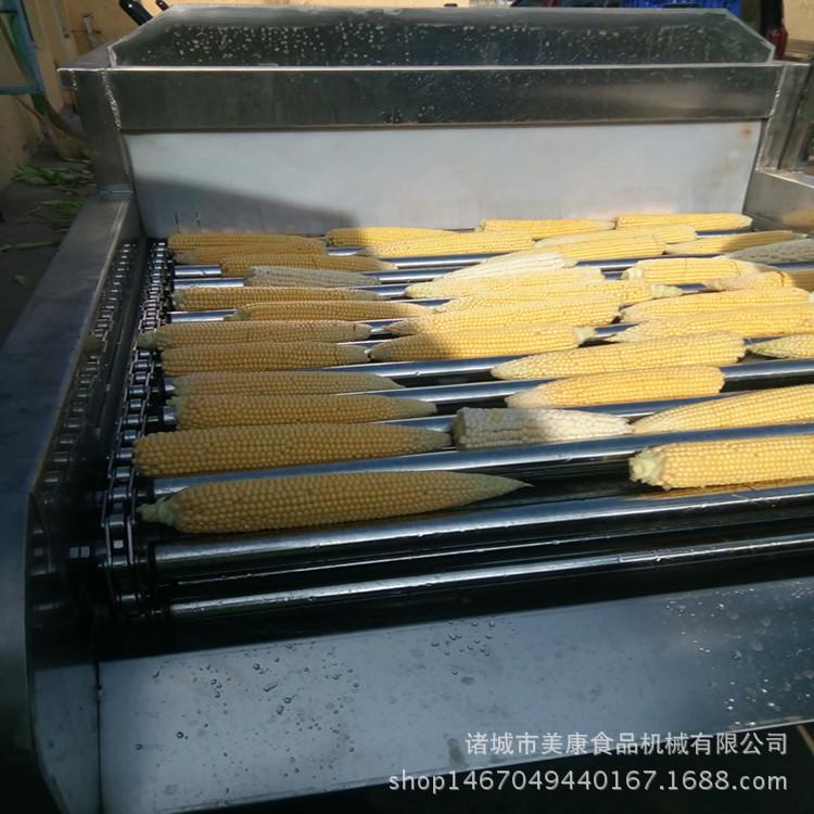 大型玉米清洗设备 喷淋式玉米清洗机 玉米加工流水线