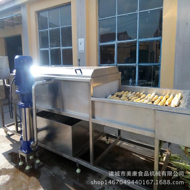 大型商用玉米清洗机 不锈钢玉米清洗去须机直销