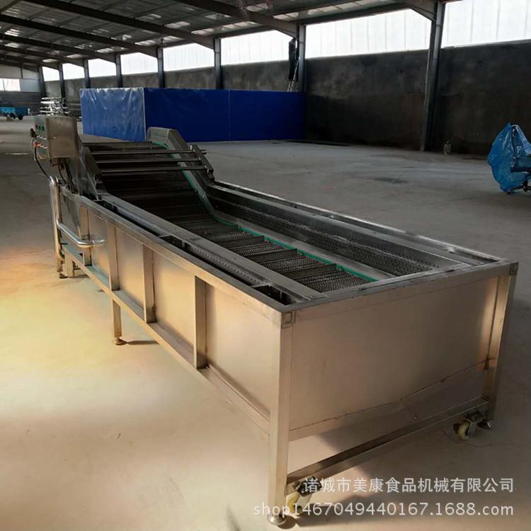 蕨菜清洗机 不锈钢气泡清洗设备 三七气泡清洗机 中药材清洗机