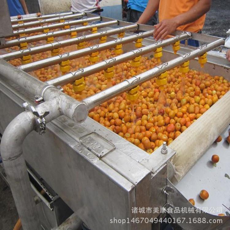 厂家直销全自动桔子清洗机 桔子清洗除水风干流水线