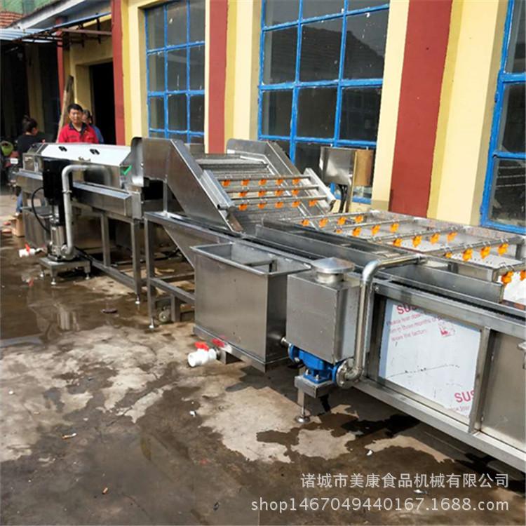 不锈钢李子清洗机 水果气泡清洗设备 多功能清洗机生产厂家