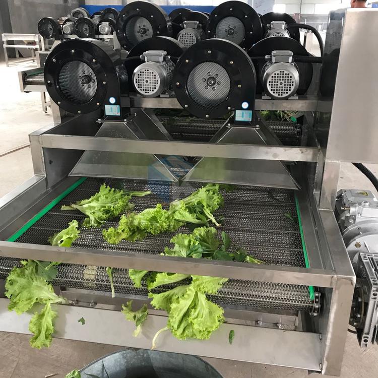 供应酱菜清洗风干线 腌制酱菜沥水风干线便宜实惠诚招代理
