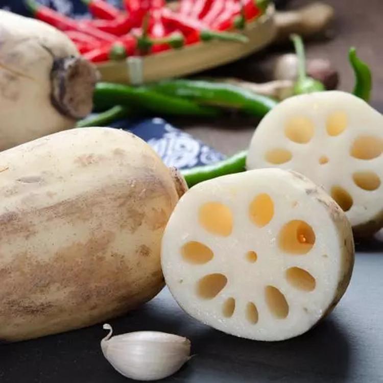 专业供应小型食品厂莲藕去皮清洗机 连藕粉加工去泥清洗设备便宜