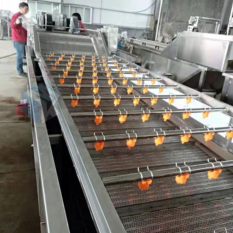 供应连续式海鱼清洗机 海产品专用清洗设备 鱼加工清洗流水线