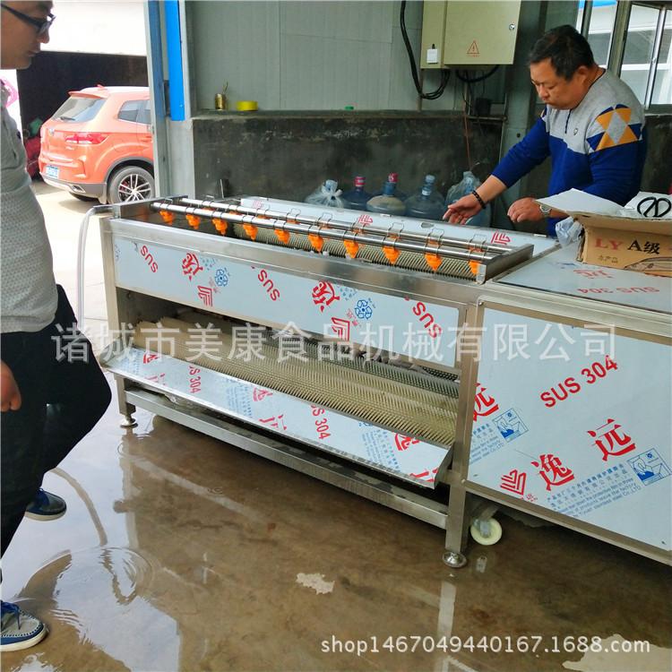 供应小型带鱼清洗去白鳞机 刀鱼罐头加工清洗设备 带鱼加工设备