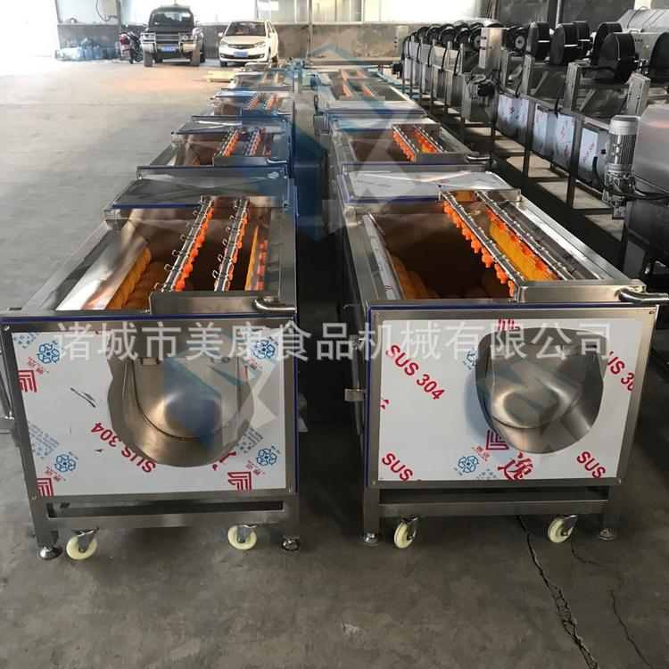 不锈钢西洋参专用清洗机 根茎类中草药清洗设备厂家直销