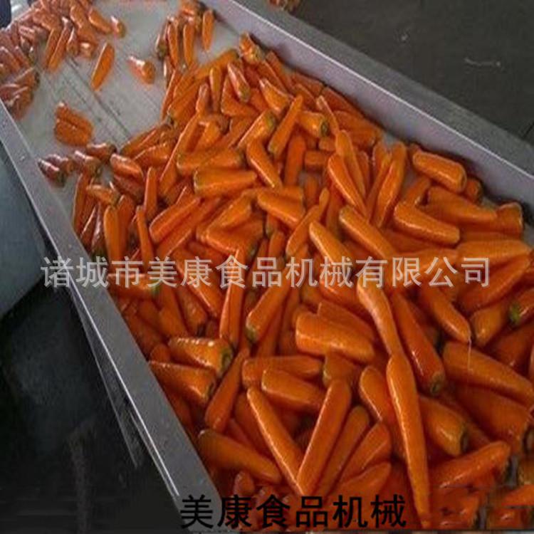 全自动连续式胡萝卜专用清洗机 胡萝卜脯加工清洗流水线