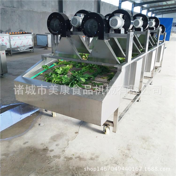 厂家直销大姜清洗风干线 蔬菜清洗除水风干机 振动沥水风干线