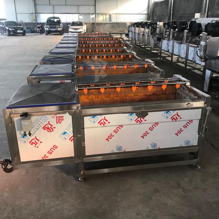 定制全自动毛辊式贻贝清洗机 海鲜贝壳类清洗机设备厂家直销