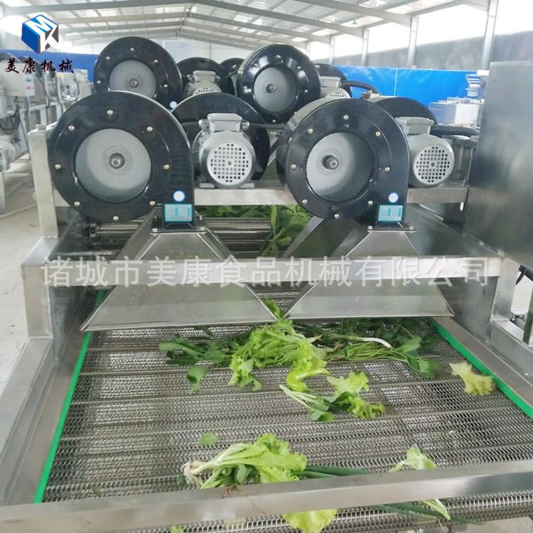 批发辣椒风干机 蔬菜清洗除水机 翻转式沥水风干机