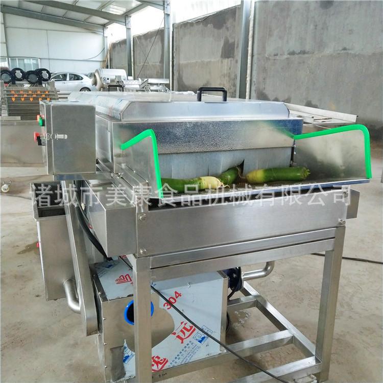 海参毛刷清洗机 连续式毛刷清洗机 平行毛辊清洗机
