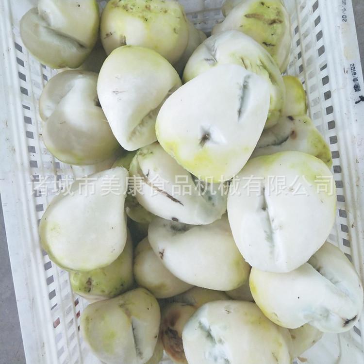 供应辣菜疙瘩清洗机 辣菜疙瘩清洗去皮机 全自动毛滚清洗机