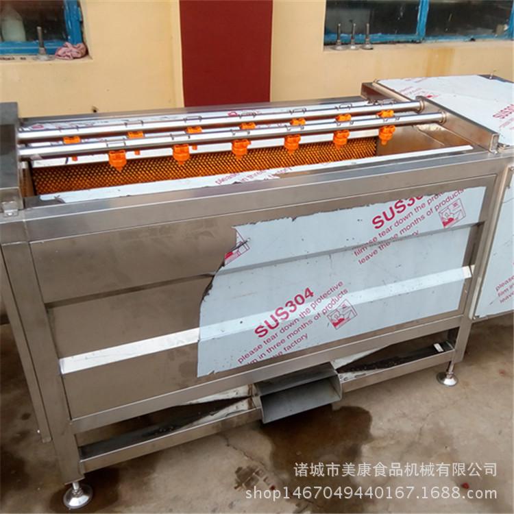 全自动鲅鱼清洗机 毛刷去鱼鳞清洗机 毛辊喷淋清洗机厂家
