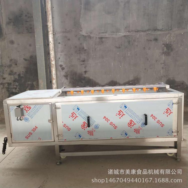 多功能蔬菜毛辊清洗机 大姜清洗去皮机 清洗机厂家定做