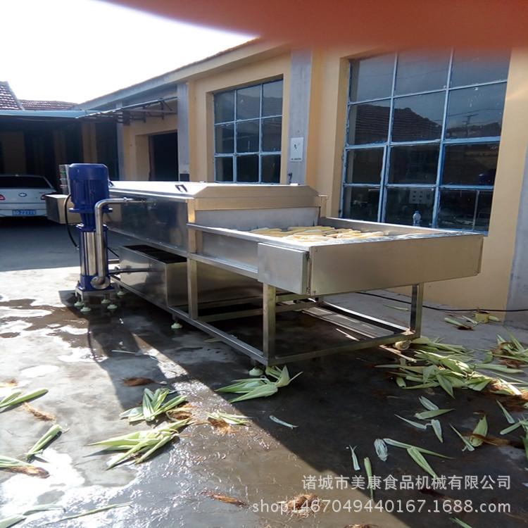 玉米滚动式高压全自动清洗机 玉米清洗机 全自动滚动式清洗机