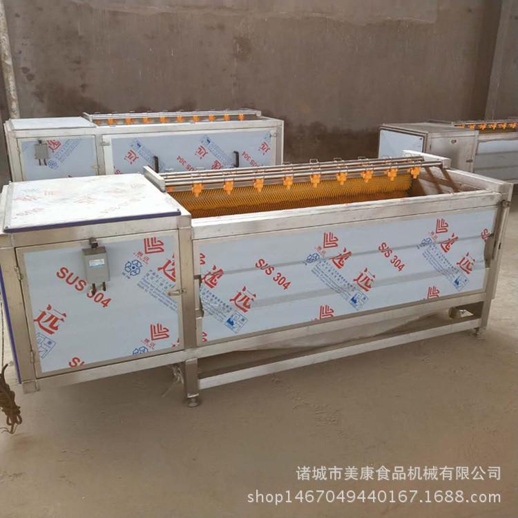 定制花生清洗机 土豆清洗去皮机价格 山东毛辊清洗设备厂家