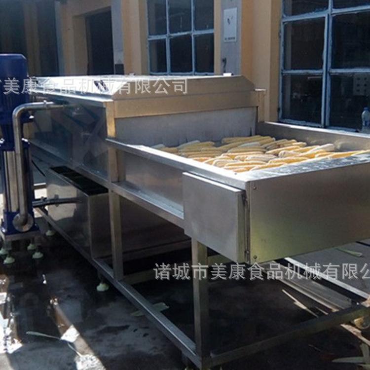 供应全自动玉米清洗机 鲜食玉米滚杠式清洗设备厂家直销