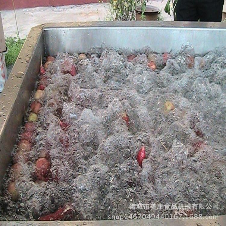 厂家定做百香果专用清洗机 生产外贸出口设备 小型果蔬气泡清洗机