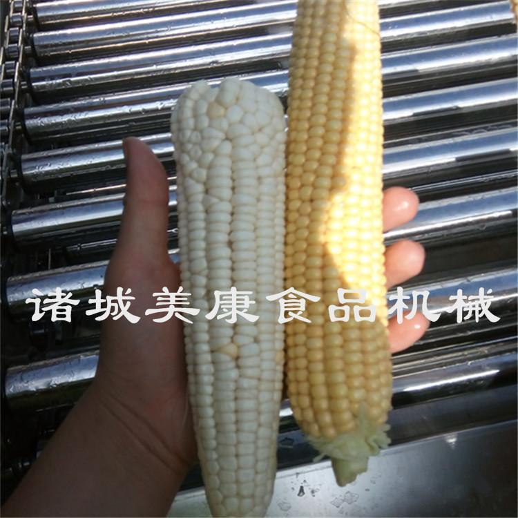 低价直销鲜食玉米滚杠式清洗机 玉米清洗机 玉米加工清洗流水线