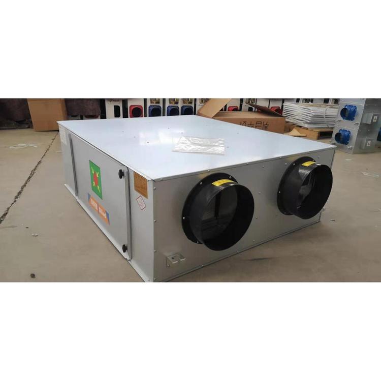 优质供应商300048kg新风换气机品质好价格低 吊式新风换气机厂家直销