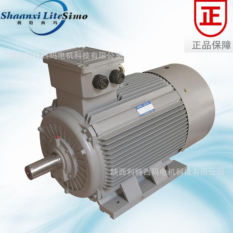 厂家直销 Y2-4001-4 355KW 紧凑型三相异步电动机
