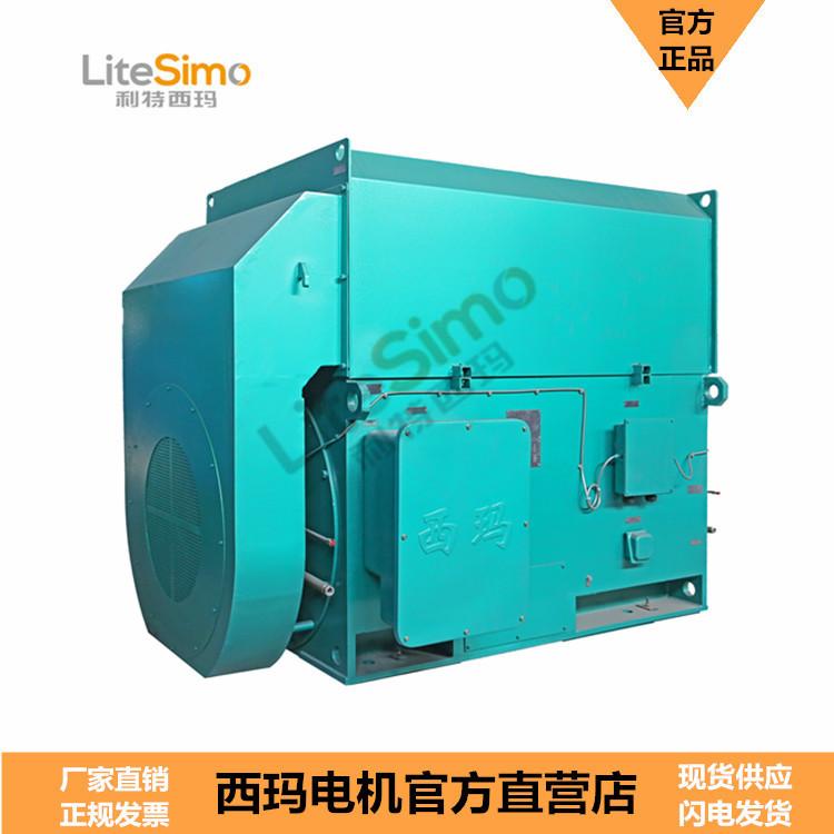 西玛立式高压电机YLKK6301-6 1120KW 10KV西安西玛电机