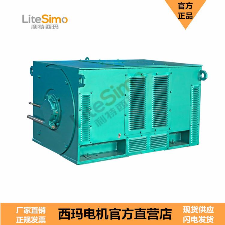 Y系列 6kv 450-10 50hz F级绝缘 电机生产厂家直供 高压异步电机