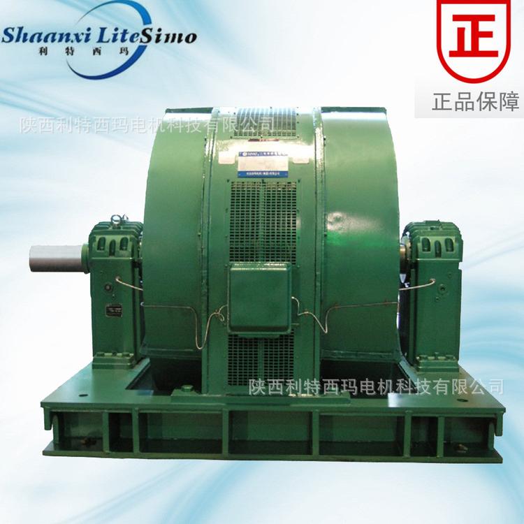泰富西玛YR1600-10EM 1600KW 6KV大型三相绕线异步电动机