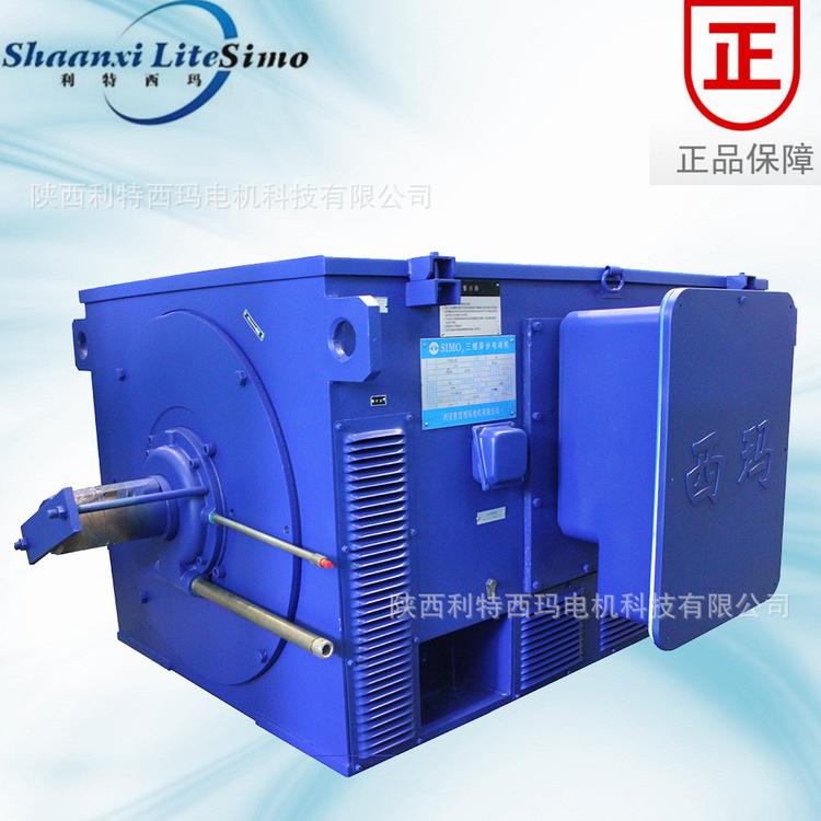 天津西玛电机直销Y 高压三相异步电机Y4003-2 280KW 10KV