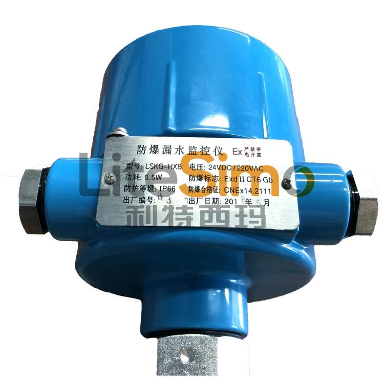 防爆漏水监控仪 ZTLK/ZTLKP漏水检测仪 LSKG-HXB