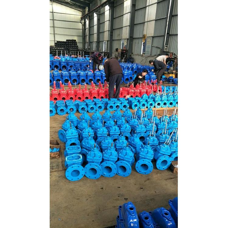 全新闸阀质量可靠 软密封闸阀价格优惠