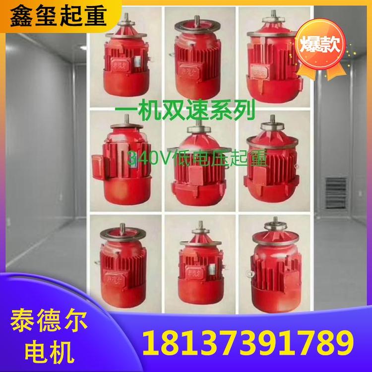 泰德尔起重机  泰德尔电机