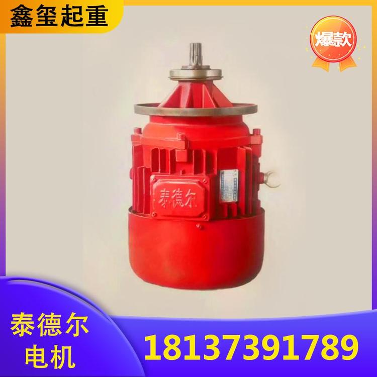 鑫玺起重 泰德尔电机