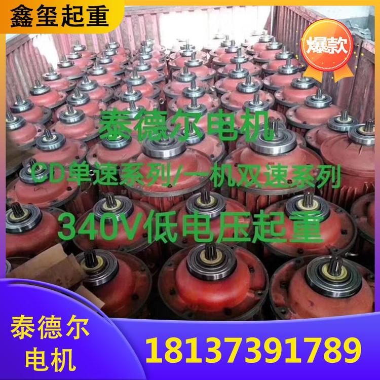 起重机 鑫玺起重 泰德尔电机