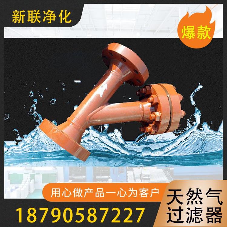 新联净化  天然气过滤器   前置过滤器 煤气天然气过滤器 高效过滤  可定制 气体过滤器 过滤器天然气管道过滤器  空气过滤器   过滤器厂家直销