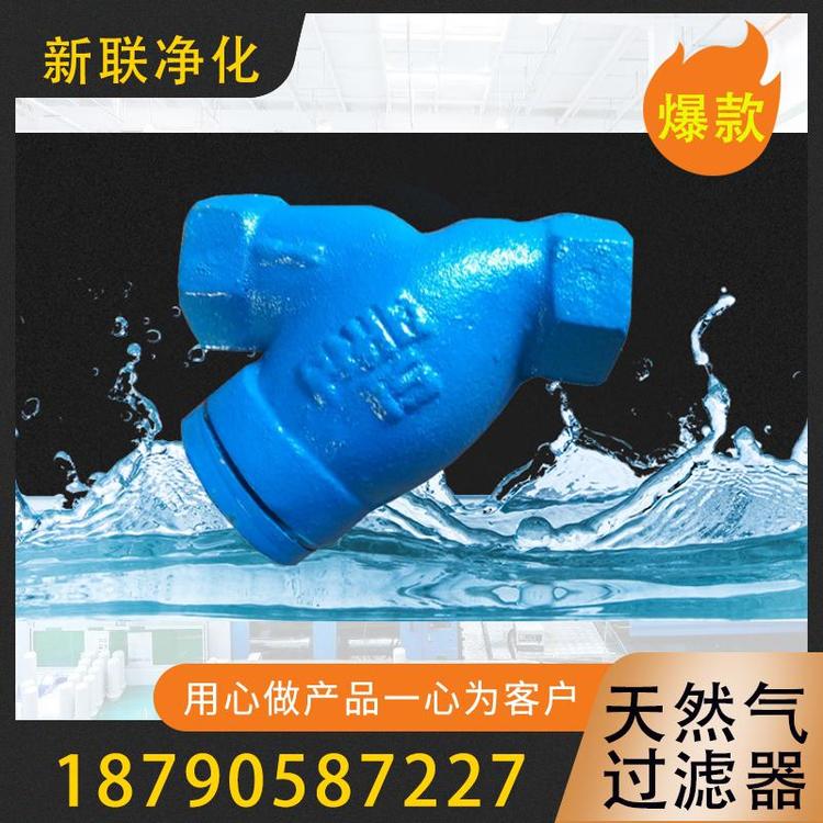 新联净化  天然气过滤器   煤气天然气过滤器 高效过滤   过滤器天然气管道过滤器  前置过滤器可定制 气体过滤器 空气过滤器   过滤器厂家直销