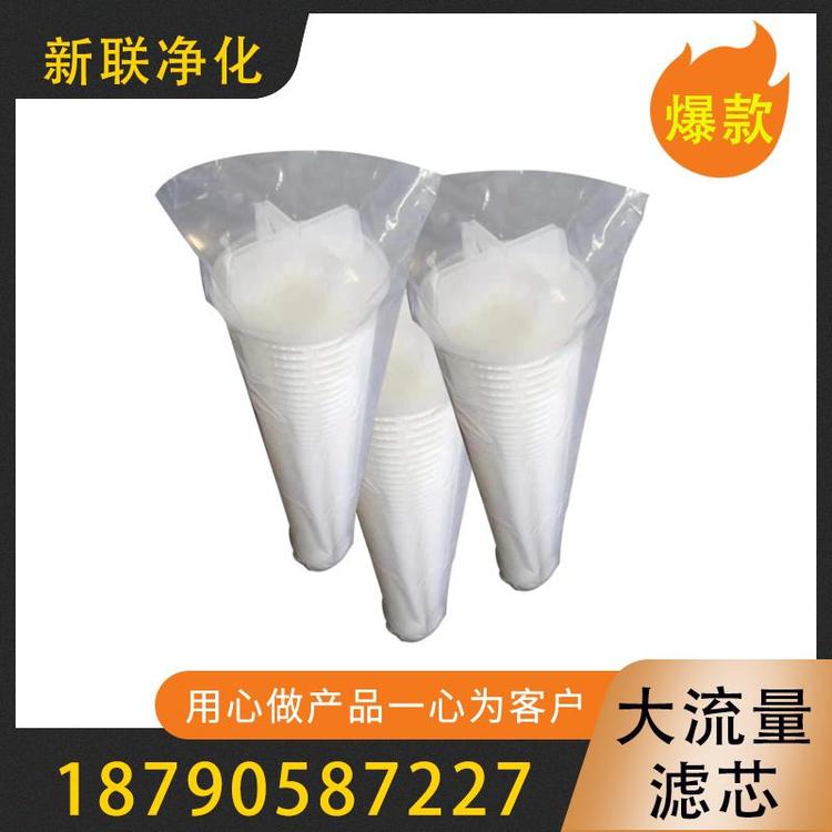新联净化  大流量滤芯  大流量折叠滤芯    pp大流量滤芯    派克大流量滤芯  颇尔大流量滤芯  大流量滤水滤芯  大流量凝结水滤芯   过滤器滤芯厂家