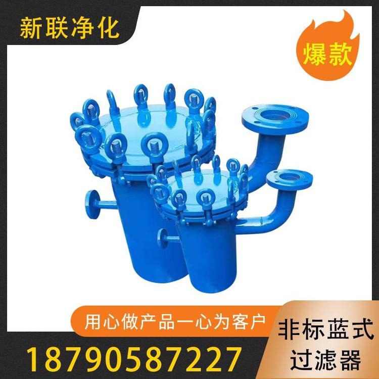 新联净化 过滤器  篮式过滤器 非标篮式过滤器 pp篮式过滤器 不锈钢篮式过滤器   过滤器源头厂家    pp高低篮式过滤器  高效过滤非标蓝式过滤器