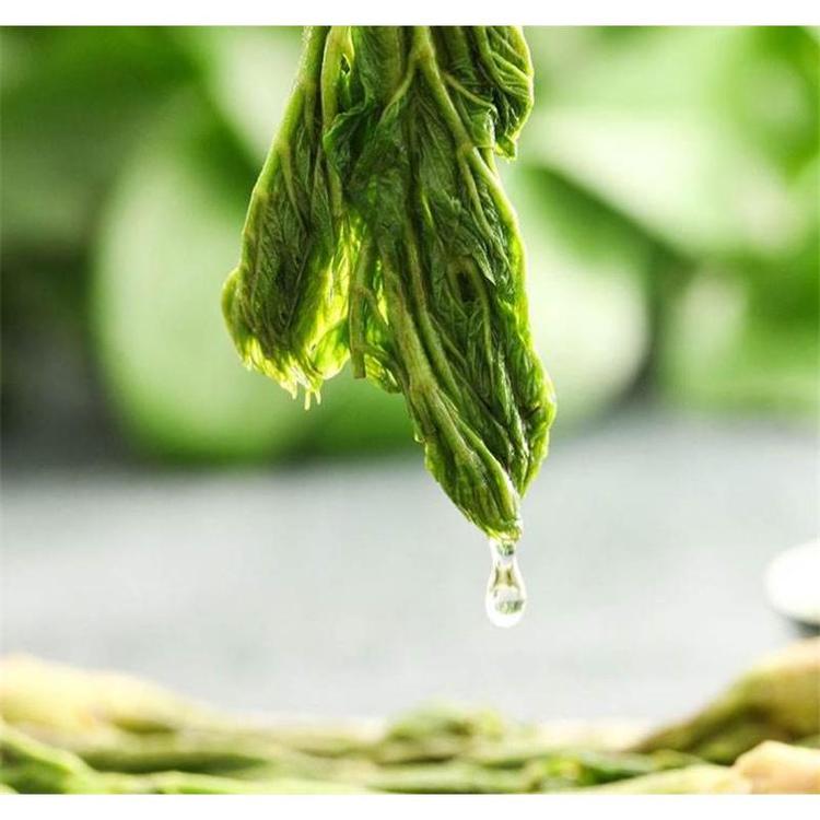 供应批发 刺嫩芽苗苗圃苗木价格 _刺嫩芽树苗 苗木大全