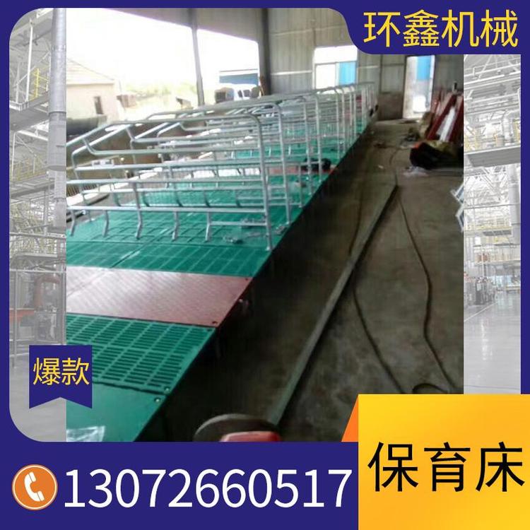 生产销售全新保育床厂家直销 定位栏保育床厂家直销
