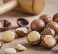 进口坚果油厂家送货 <em>食品</em>级坚果油价格优惠