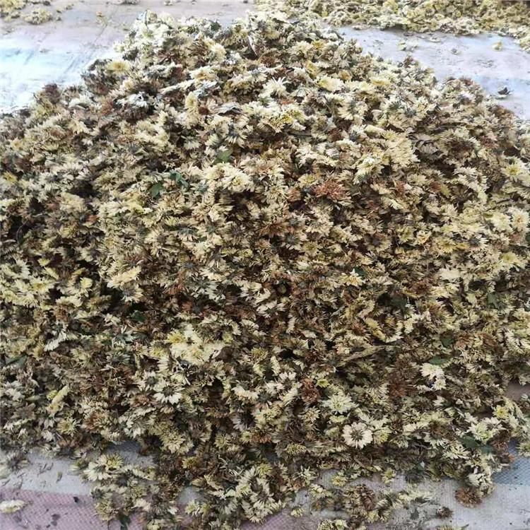 小型金银花烘干机_金银花空气能烘干设备批发