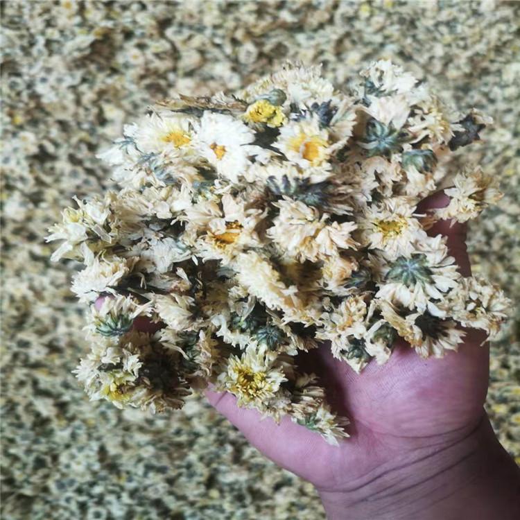 大型金银花烘干机价格 金银花烘干箱价格