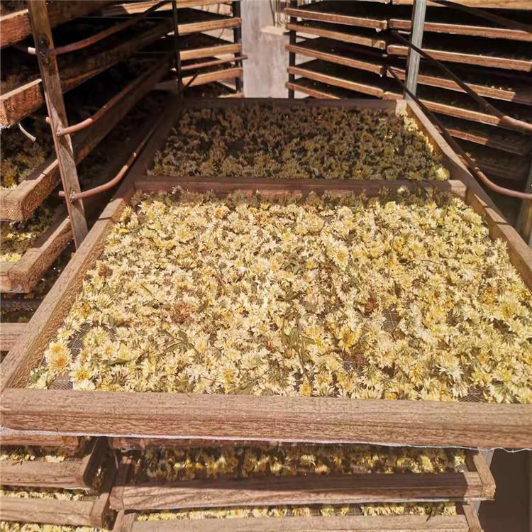 小型金银花烘干机厂家直销 金银花烘干箱批发