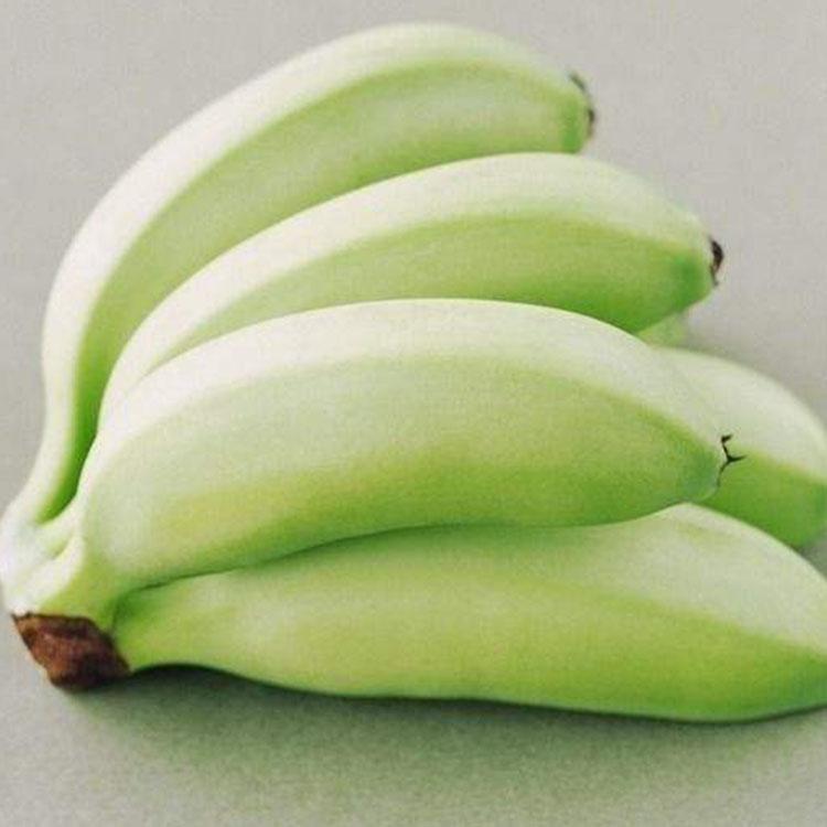 进口香蕉粉公司专卖 青香蕉粉批发零售