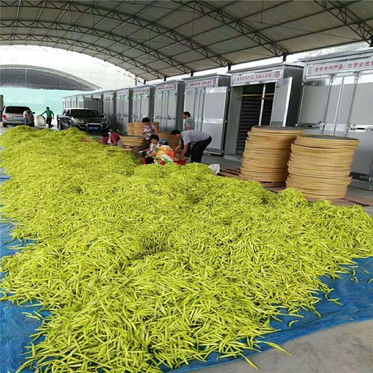 厂家直销金银花烘干机_大型烘干设备批发