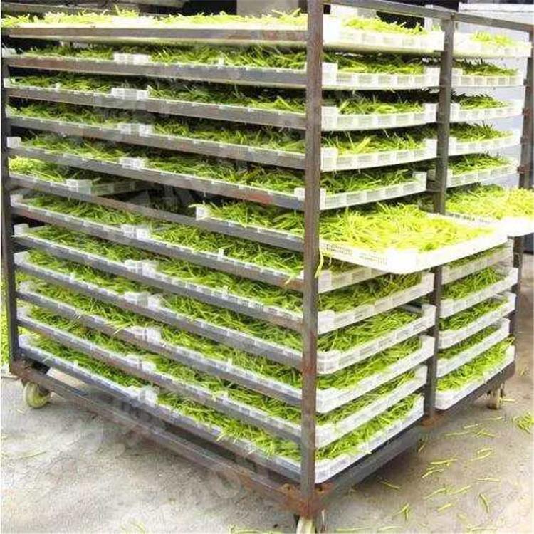 厂家直销金银花烘干机_热风循环金银花烘干机价格