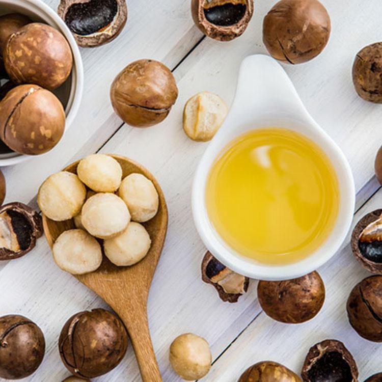 澳洲坚果油批发零售 食用级坚果油公司专卖