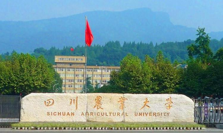 四川农业大学继续教育学院