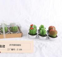 仙人掌低温工艺蜡烛厂家 圣坤多肉植物无烟蜡烛批发